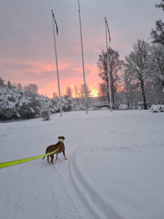Skogsbrynet B&B, Bredsjoe Nya Herrgard Hällefors Extérieur photo